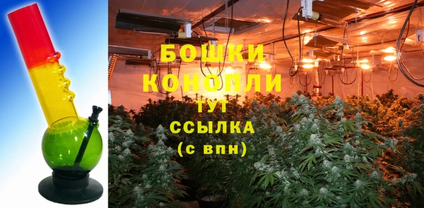 шишки Липки