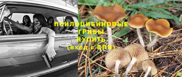 шишки Липки