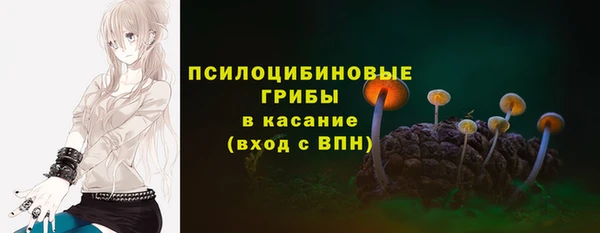 шишки Липки
