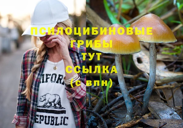 шишки Липки