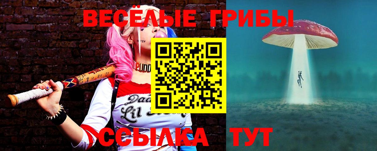 Туймазы  Псилоцибиновые грибы мухоморы  Вход с VPN 